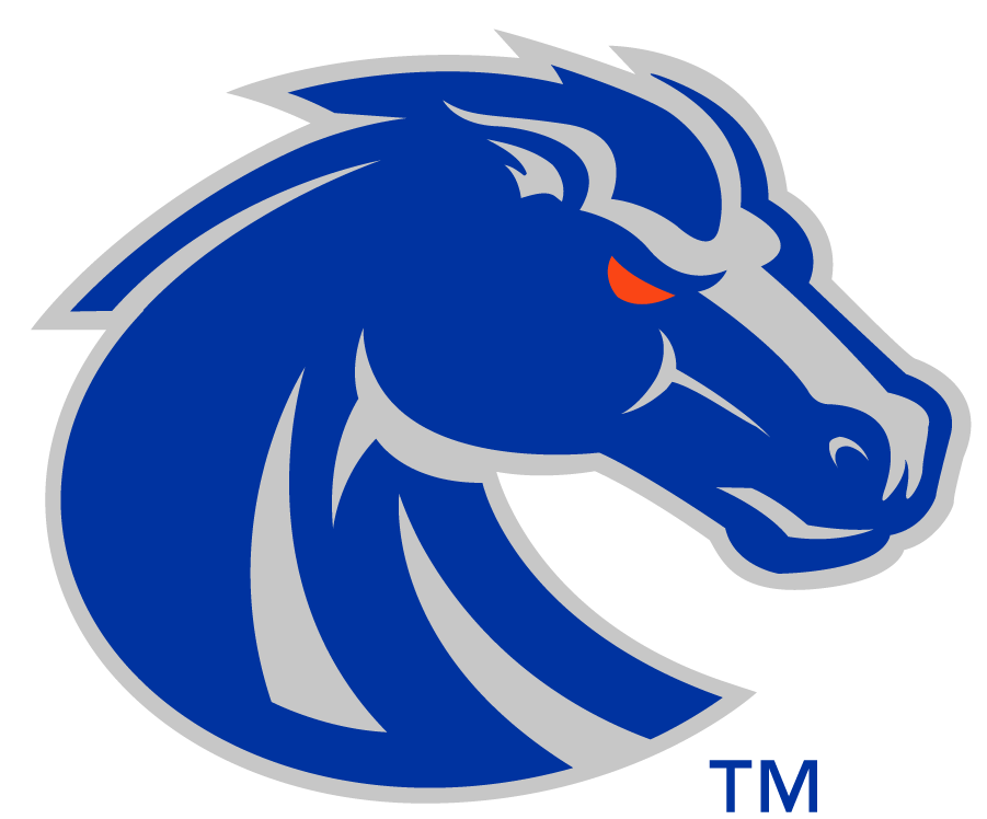 Boise State Broncos 2013-Pres Secondary Logo v2 iron on transfers for clothing